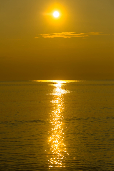 e0051888_3425625.jpg