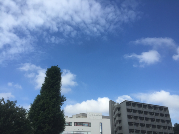 d0135694_01531061.jpg