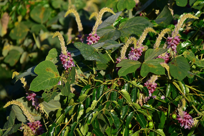 c0049299_22303576.jpg