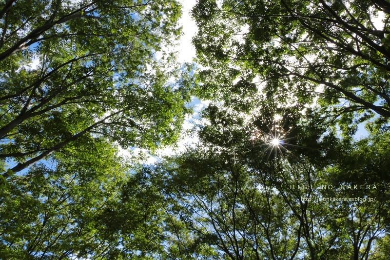 c0358500_10415862.jpg