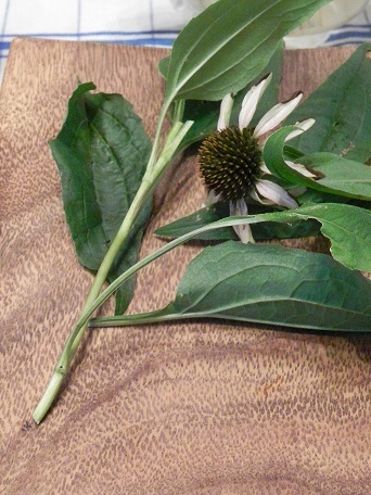 c0152002_18323110.jpg