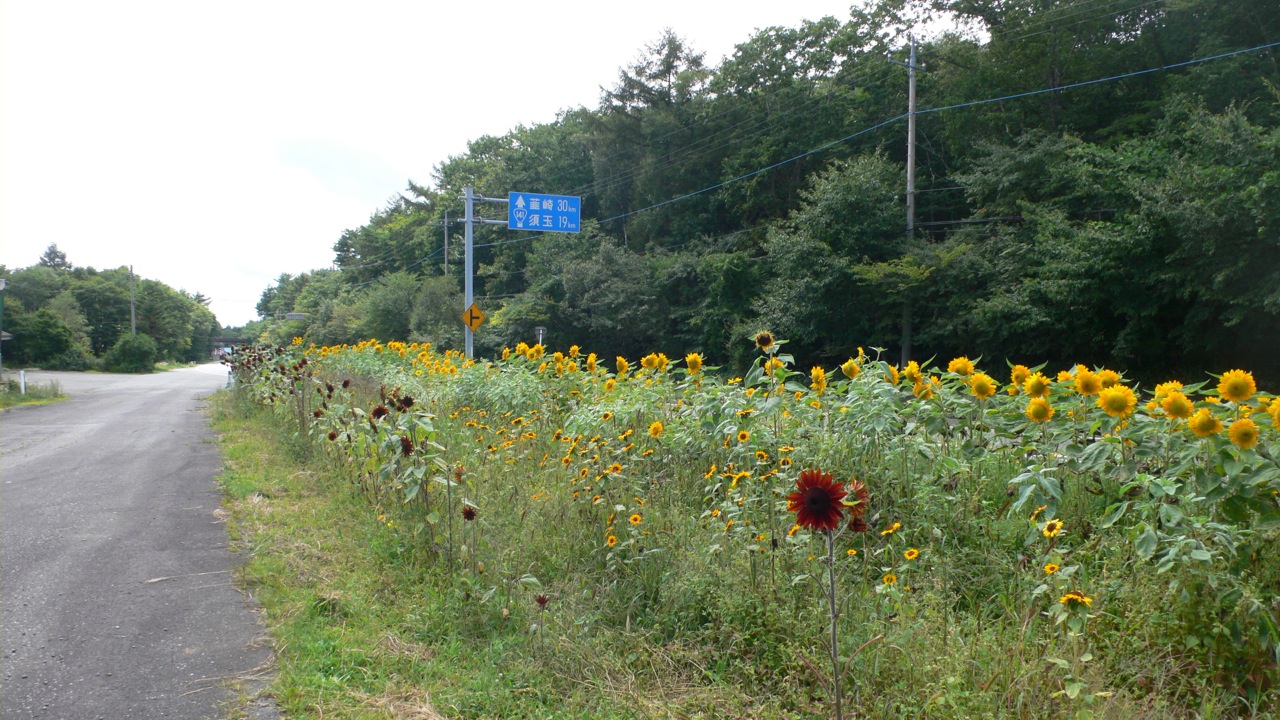 f0226226_12233190.jpg