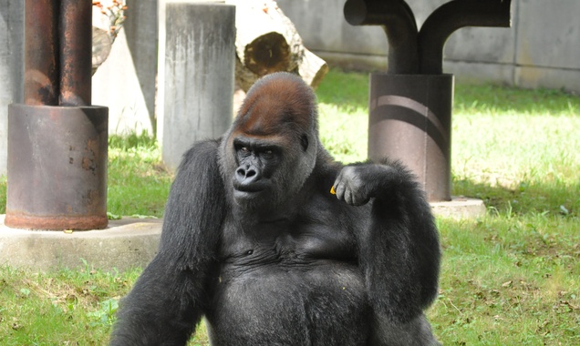 a0248728_15491171.jpg