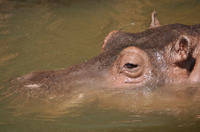 a0248728_1559285.jpg