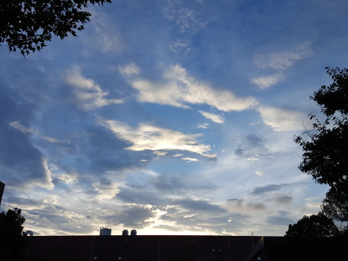 e0016828_10051054.jpg