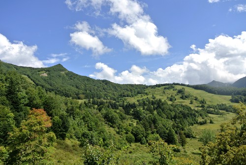 d0170835_21323252.jpg
