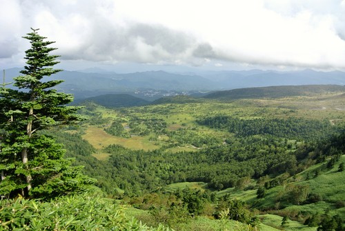 d0170835_2284419.jpg
