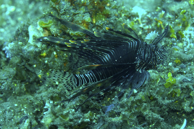 b0042837_153228.jpg