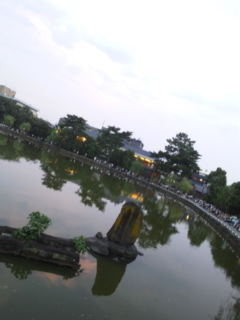 c0056437_9185527.jpg