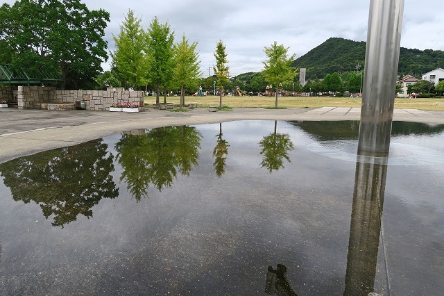 a0242438_20552316.jpg