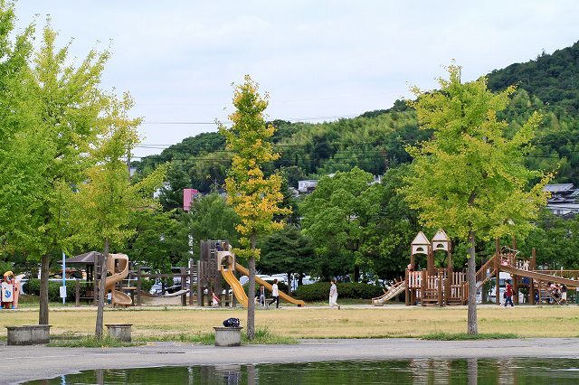 a0242438_20582597.jpg