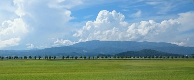 b0075140_16295297.jpg