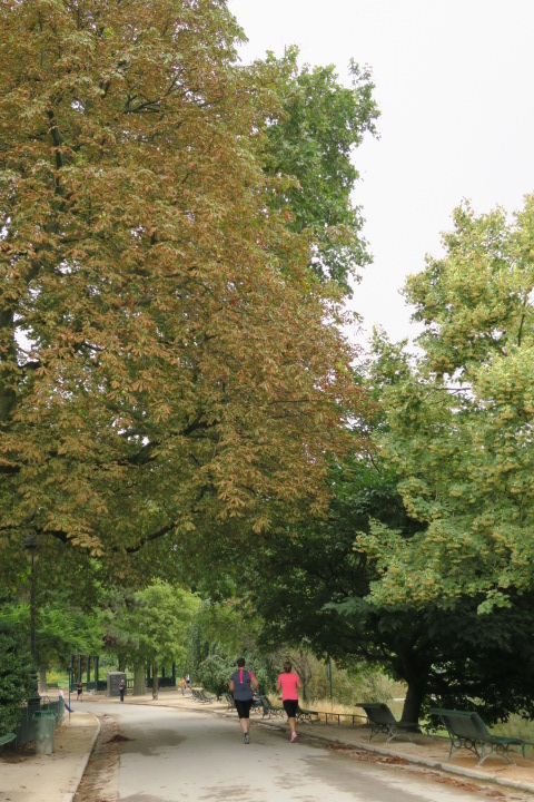 e0300042_2152379.jpg