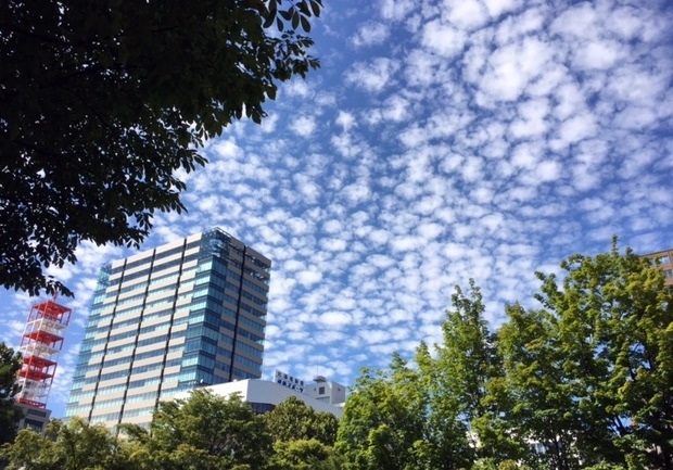 b0256148_00221707.jpg