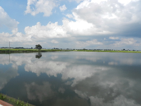 e0172950_21175276.jpg