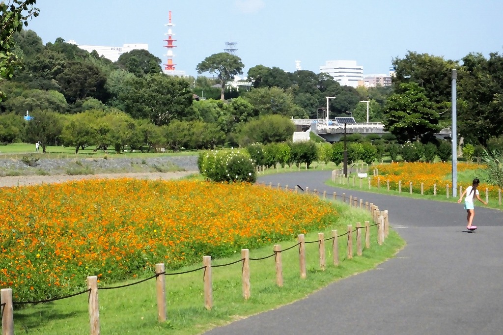 b0236251_10345370.jpg