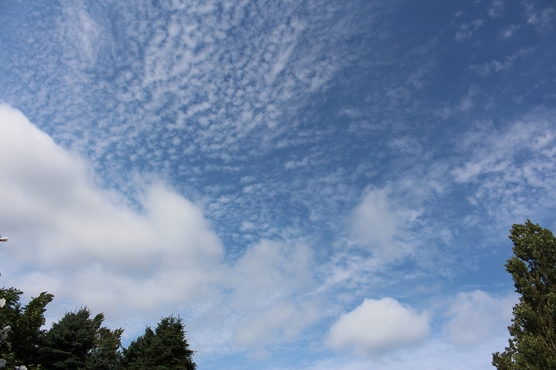 b0250154_20523210.jpg