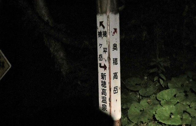 c0116856_213938.jpg