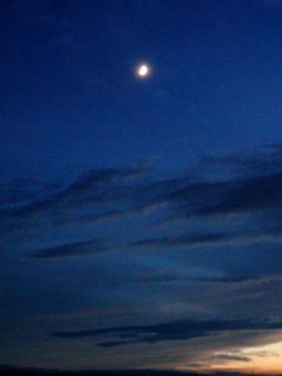 d0218056_19525841.jpg