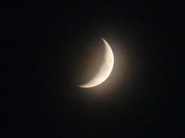 d0218056_19533377.jpg
