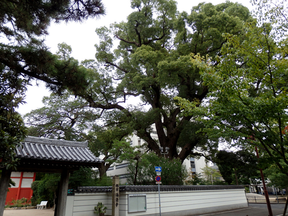 d0218056_2071671.jpg