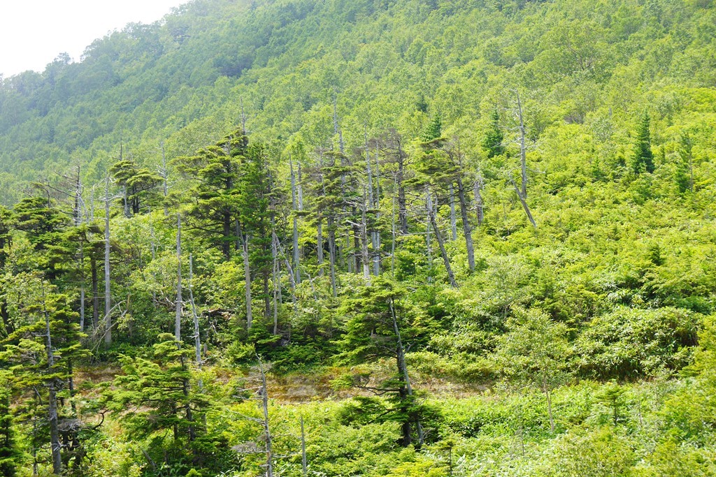 e0223456_10565065.jpg