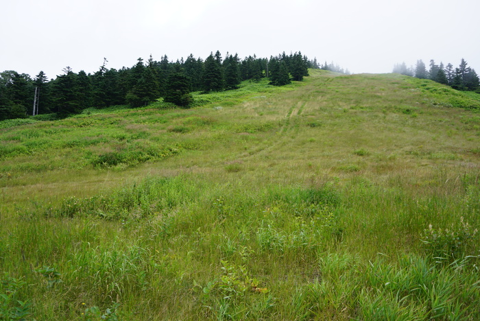 d0152261_2201129.jpg