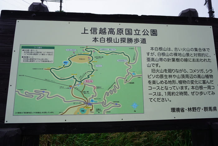 d0152261_2205651.jpg