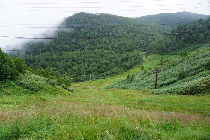 d0152261_2222288.jpg