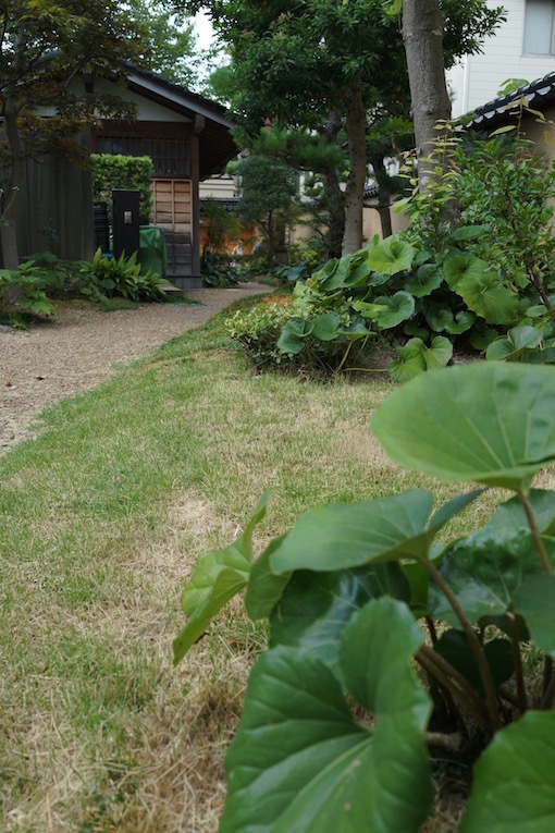 f0134963_21175848.jpg