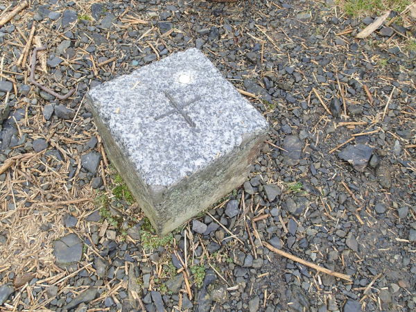 c0321967_19192172.jpeg