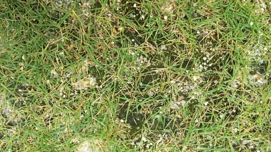 f0098671_10510383.jpg