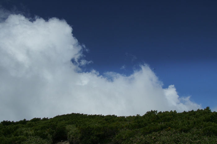 e0307372_21384125.jpg