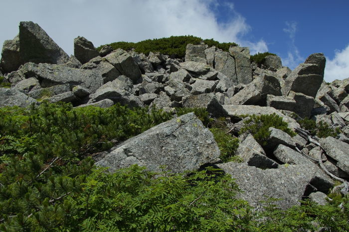 e0307372_21435672.jpg