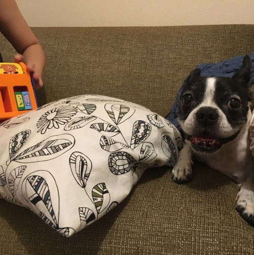 d0041575_21544411.jpeg
