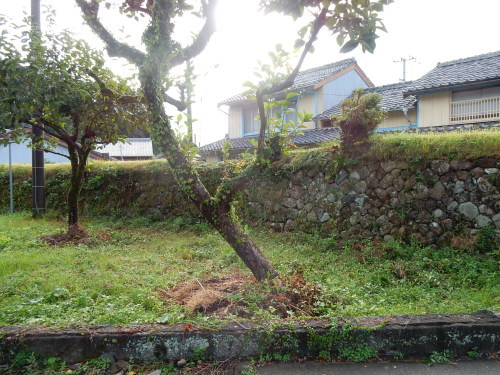 f0054677_09481619.jpg