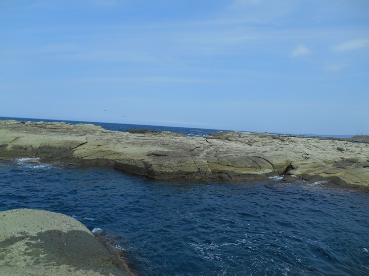 c0198781_12253547.jpg