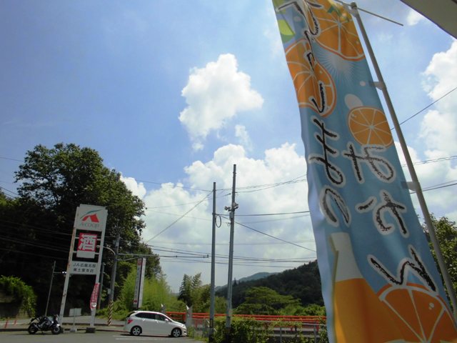 d0155582_20204428.jpg