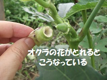 d0017084_9414166.jpg