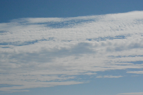 c0204385_23143810.jpg
