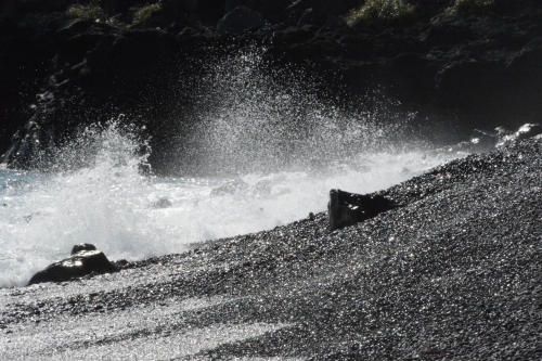 c0204385_23162382.jpg