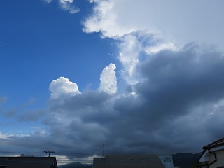 e0130185_2014894.jpg