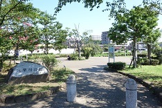 d0183387_19243109.jpg