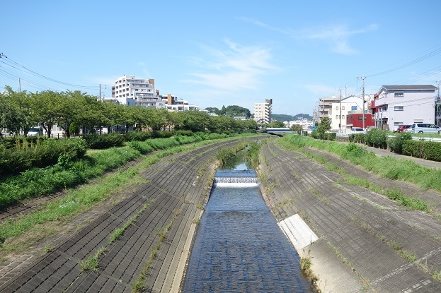 d0183387_19390617.jpg
