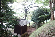 d0183387_19505229.jpg