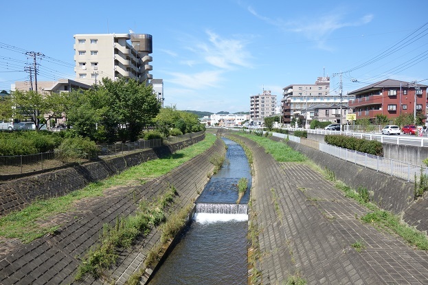 d0183387_21081231.jpg