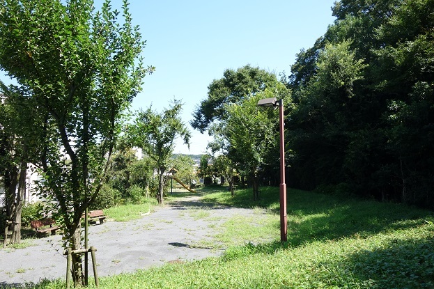 d0183387_21145751.jpg