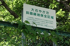 d0183387_21164214.jpg