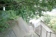 d0183387_21175377.jpg