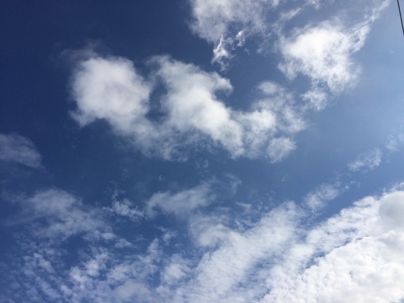 d0239796_14060510.jpeg